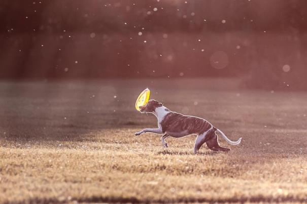 306709_247996035319347_1118970039_n