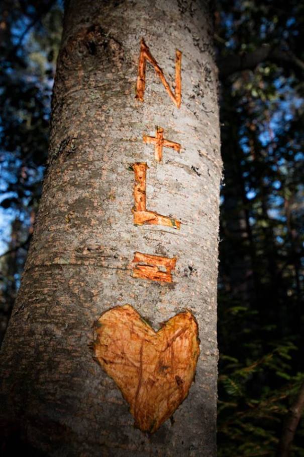 10556273_396073330533357_550104017276852529_n