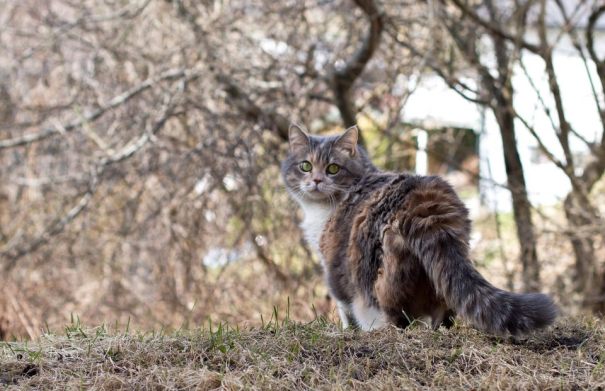 282381_372806776171605_744759024_n