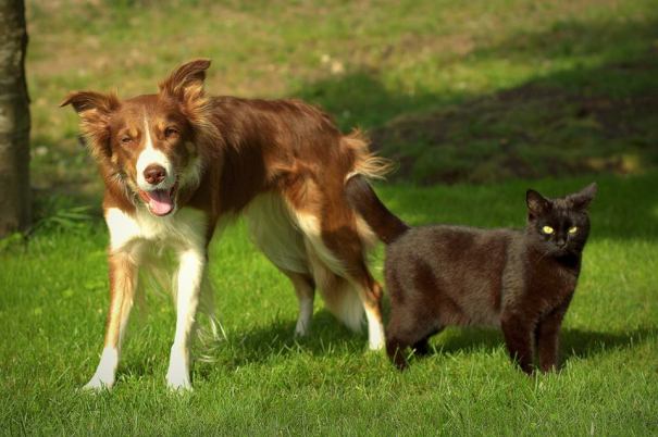 11075186_730609913724621_5541116221255445179_n