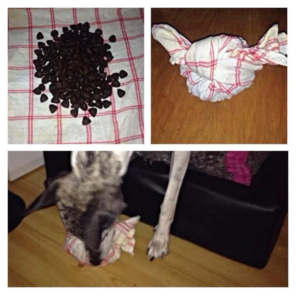 10822604_670698196382460_2109610398_n