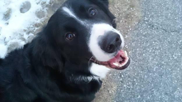 10891948_688676267917986_1455356607124730306_n