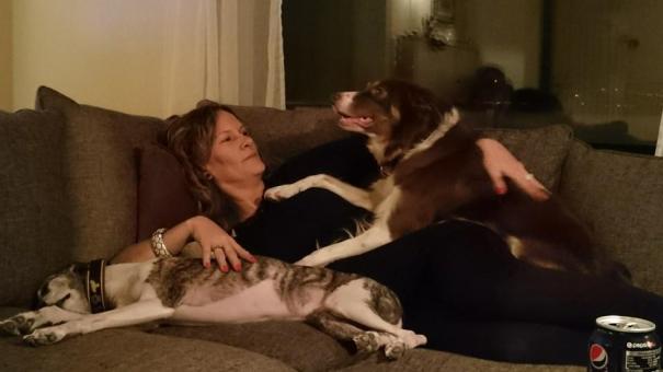 10354682_686927914759488_2701357261116248701_n