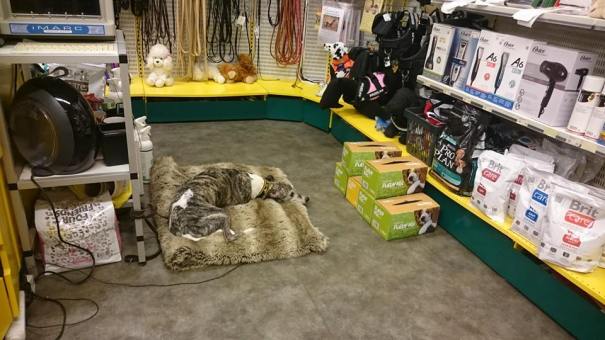 10410561_703534826432130_7693333142478255777_n