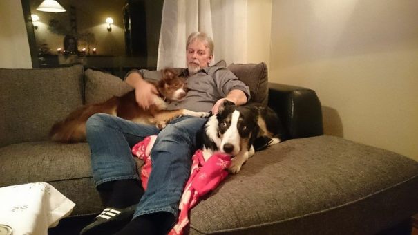 10906244_686927891426157_5538732968249281949_n