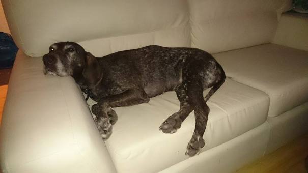 10950950_701505439968402_562317524_n