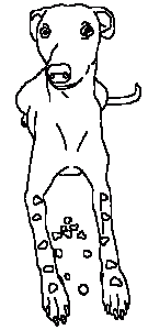 10532942_604378916347722_6306628946183755120_n