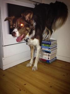 10622732_625806230871657_2845606342850422298_n