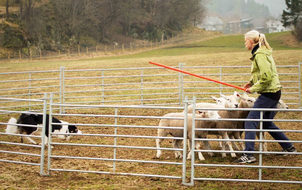 Han hadde tross alt gjort dette før!