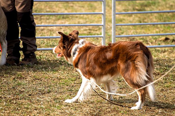 Blir bare flinkere og flinkere