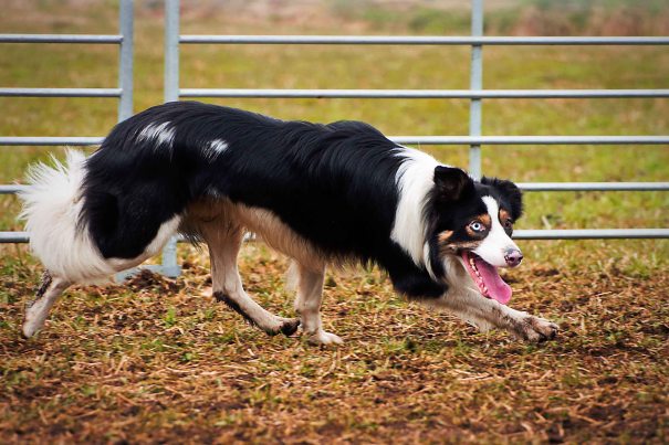 Flott kar han der altså!
