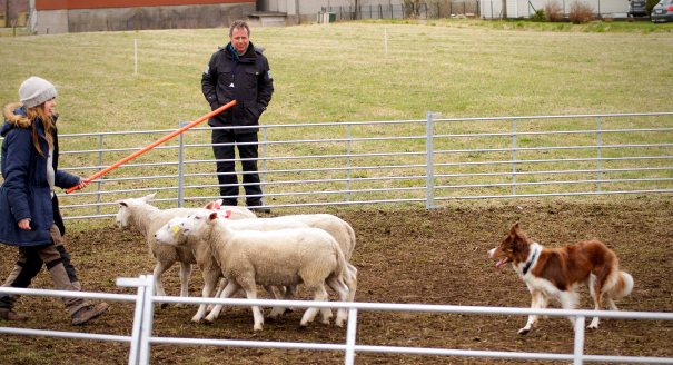 Kontrollen gjeninntatt!