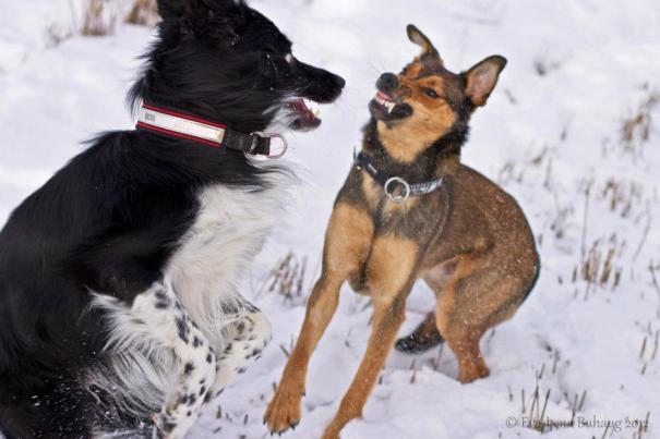 396520_130149883770630_75346359_n-2