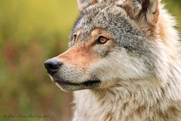 600080_231766636942287_170761894_n