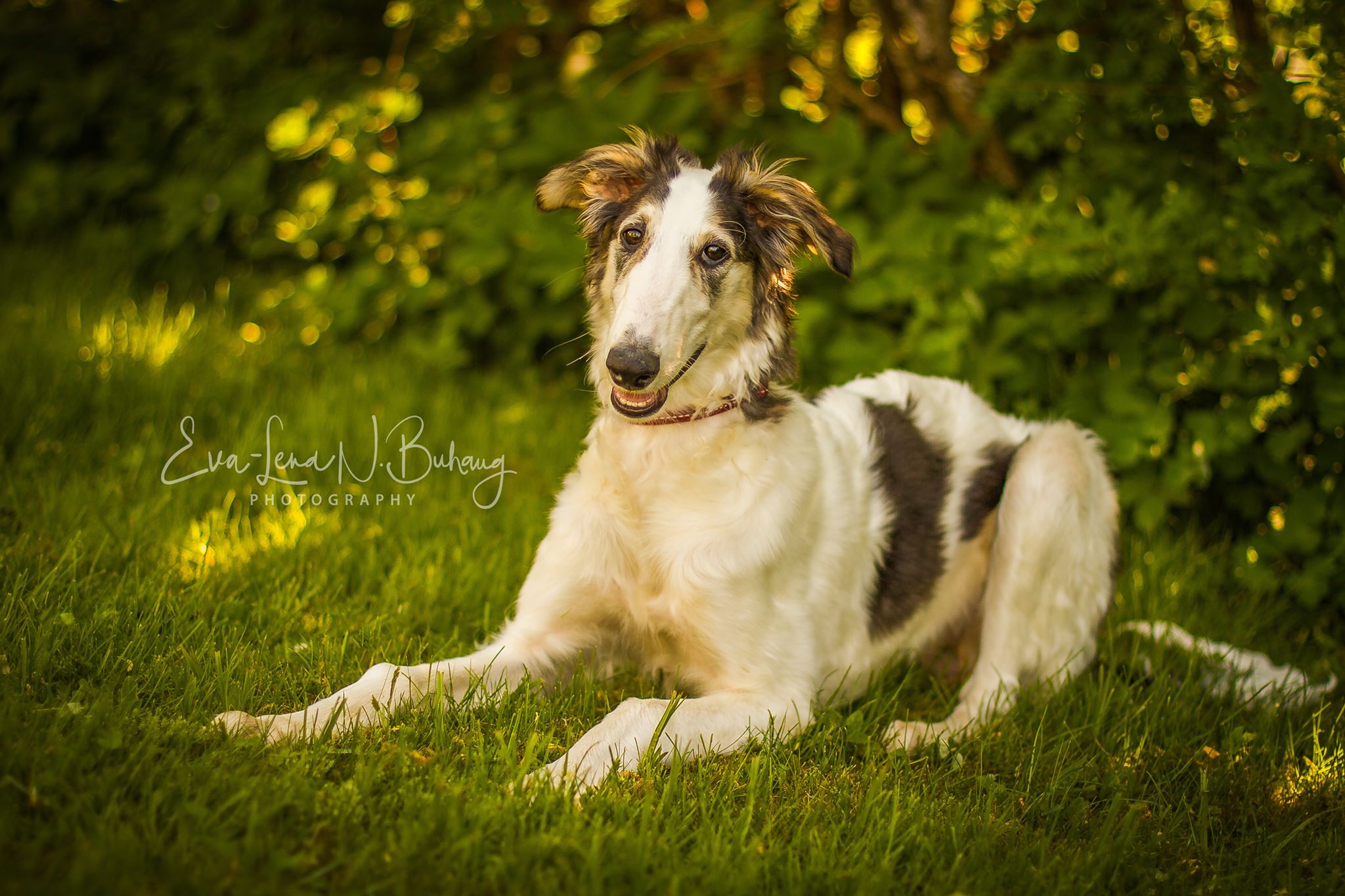 33322436_1654269744691962_7211039138370289664_n